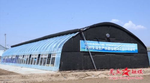 农大学子借力农用酵素微生物工厂，以“大地论文”助力乡村振兴