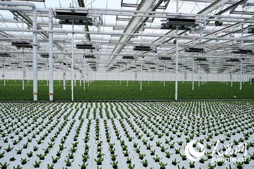 西部大开发新篇章 以高水平开放引领环保科技领域的技术创新