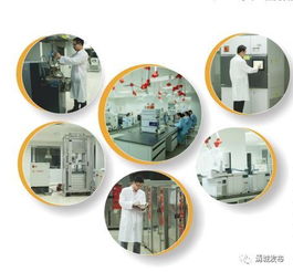 为金发科技研发团队点赞 亚太第一、全球第二的环保科技先锋